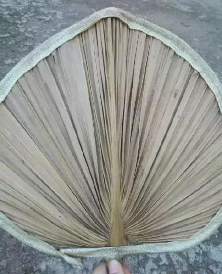 烈日当空如何防紫外线,烈日炎炎防暑防晒