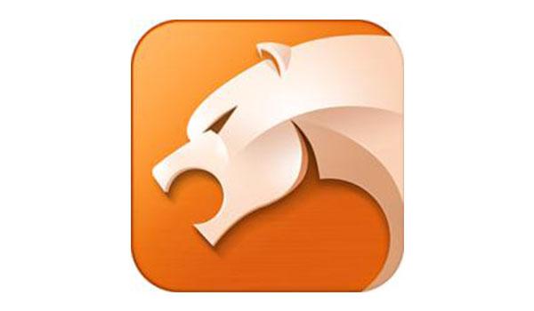 最好用的手机浏览器是哪款,手机什么浏览器看资源最好用