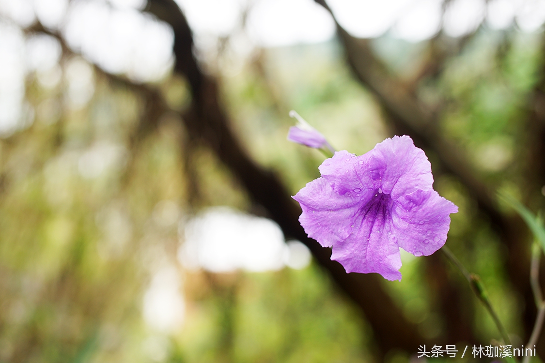 带ni去旅行｜台湾三人行——闺蜜照就这么拍