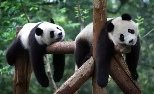 回国探亲礼品,最全加拿大回国礼品推荐