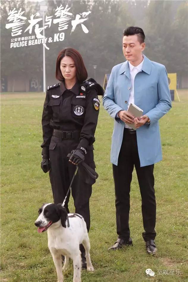 前方萌宠来袭！这些大陆宠物剧你都看过吗？