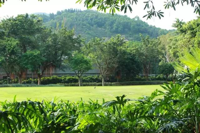 迪士尼好莱坞酒店什么能够带走,迪士尼好莱坞酒店标准房