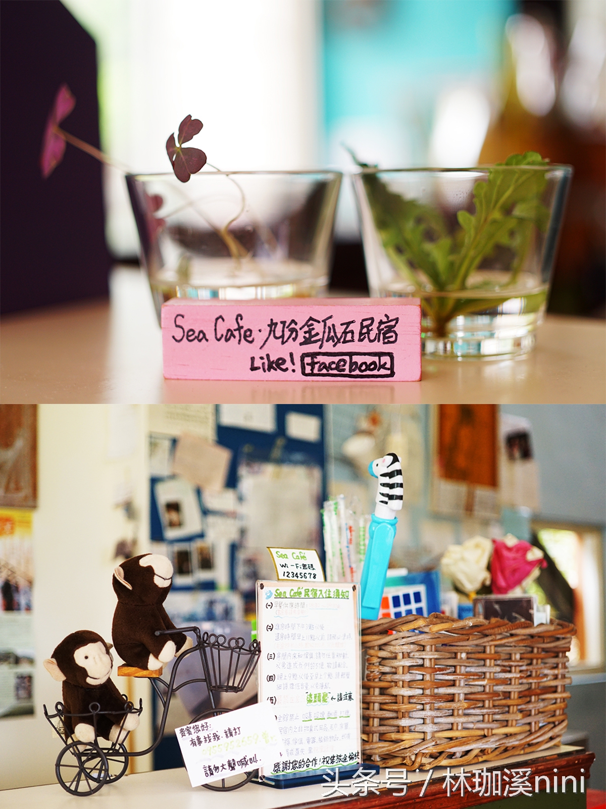 带ni去旅行｜台湾三人行——闺蜜照就这么拍