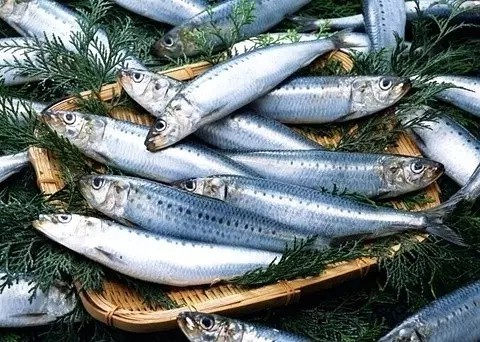 八岁男童长高食物,八岁男孩长高的食物