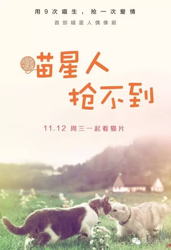 前方萌宠来袭！这些大陆宠物剧你都看过吗？