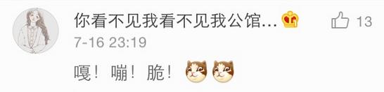 几乎无差评的猫粮狗粮,试吃狗粮猫粮