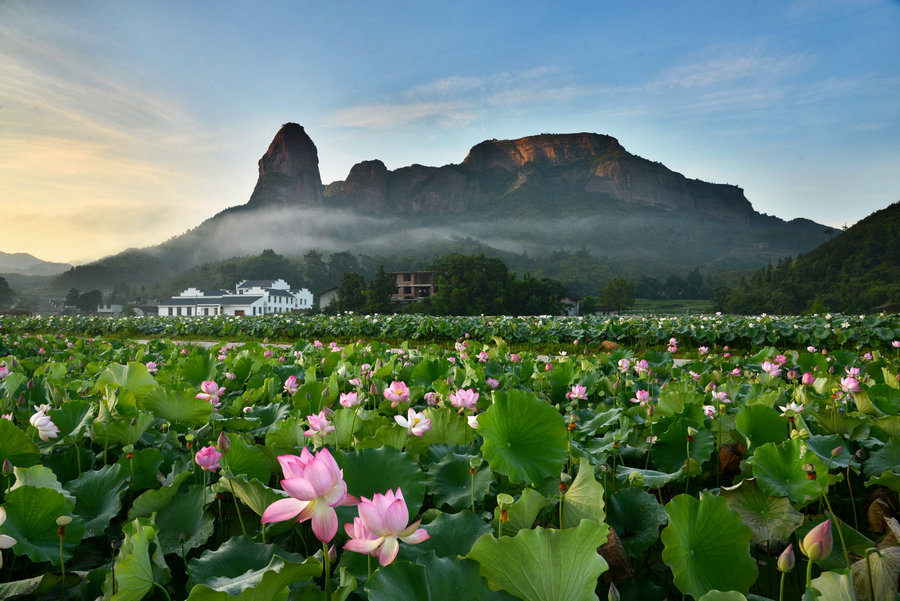 农业电商运营方式分析,农业电商平台运营模式
