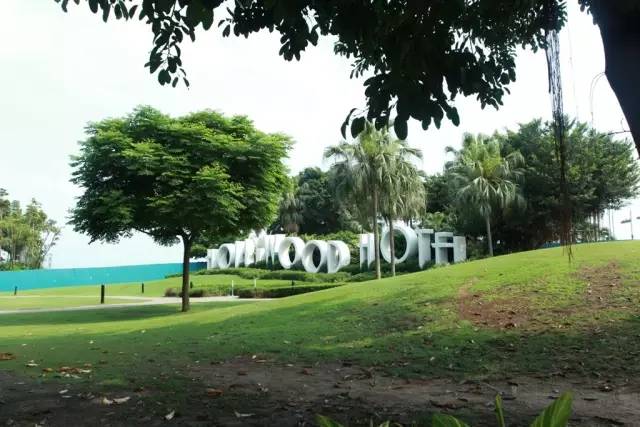 迪士尼好莱坞酒店什么能够带走,迪士尼好莱坞酒店标准房