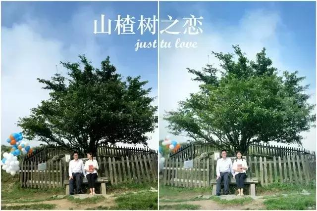 当百里荒遇上山楂树，预“谋”最纯爱的告白