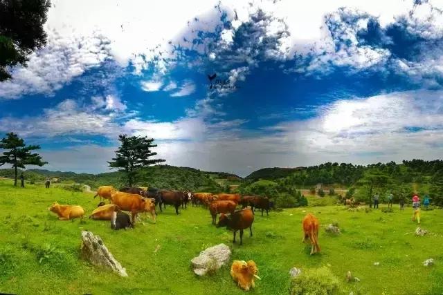 当百里荒遇上山楂树，预“谋”最纯爱的告白