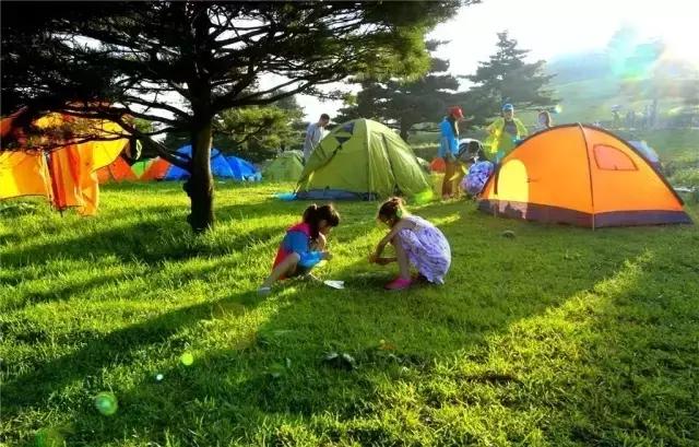 当百里荒遇上山楂树，预“谋”最纯爱的告白