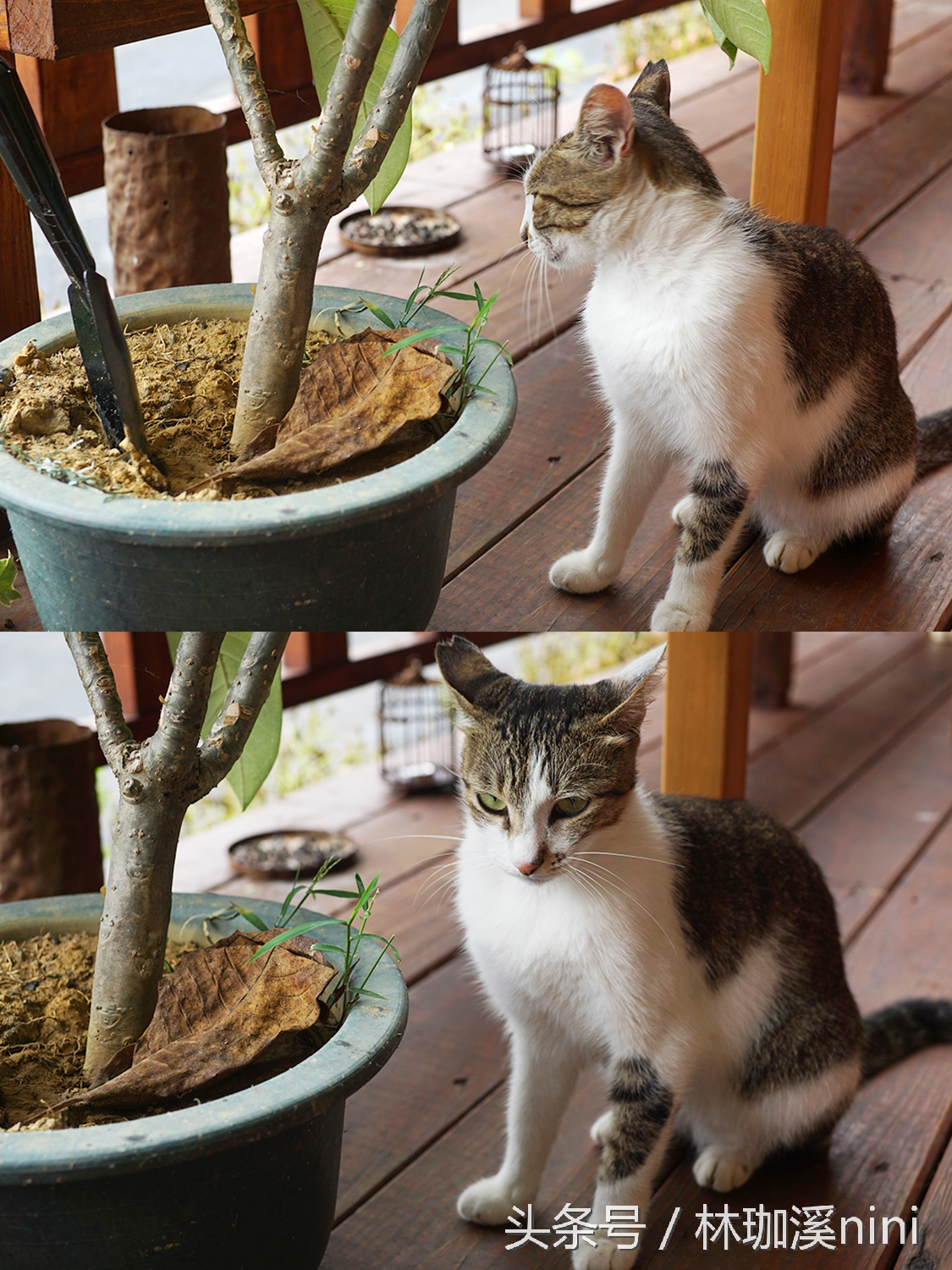 带ni去旅行｜台湾三人行——闺蜜照就这么拍