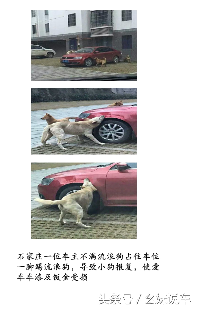 小知识分享车漆有问题要怎么处理,不可逆的损伤车漆最怕是什么