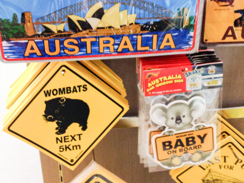 最强剁手指南,最强登机攻略