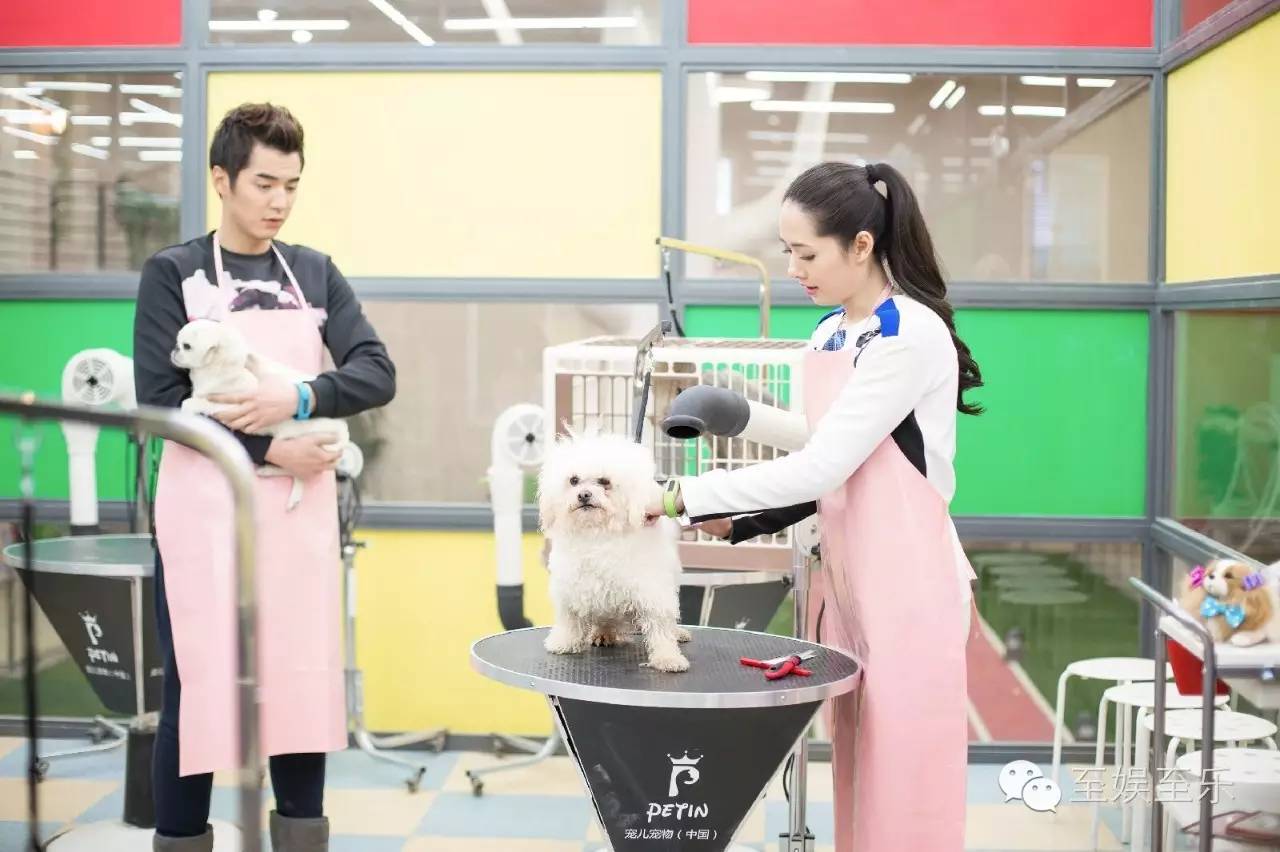 前方萌宠来袭！这些大陆宠物剧你都看过吗？