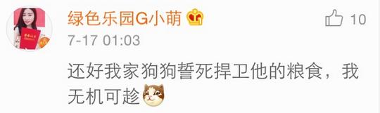 几乎无差评的猫粮狗粮,试吃狗粮猫粮