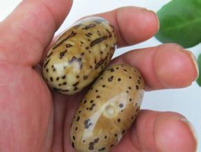 怎么打磨它？你会吗？反正我会了