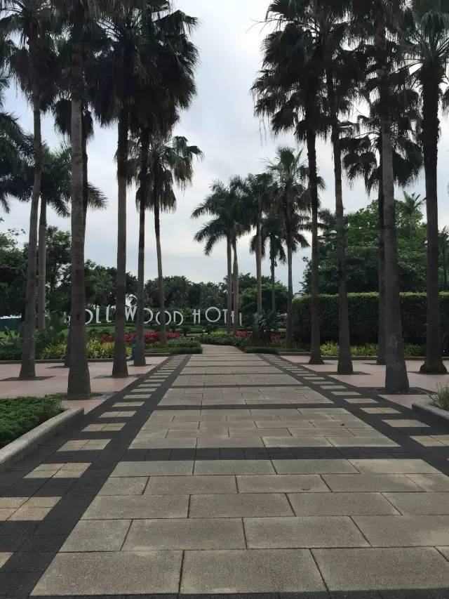 迪士尼好莱坞酒店什么能够带走,迪士尼好莱坞酒店标准房