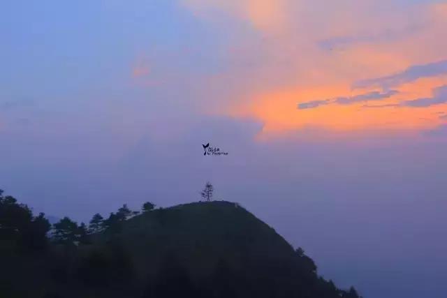 当百里荒遇上山楂树，预“谋”最纯爱的告白