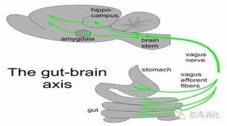 情绪会影响肠胃哪些不适,情绪会影响肠道