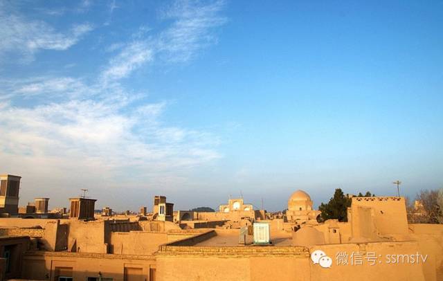 夏日防晒食谱|东古喊你吃鱼啦