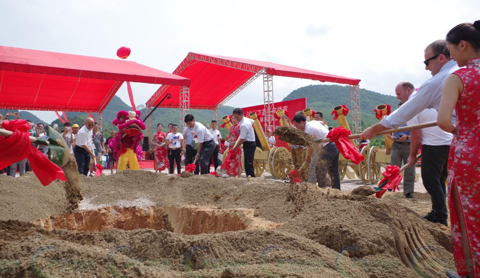 鑫广安农牧广西分公司,鑫广安母猪怎么样