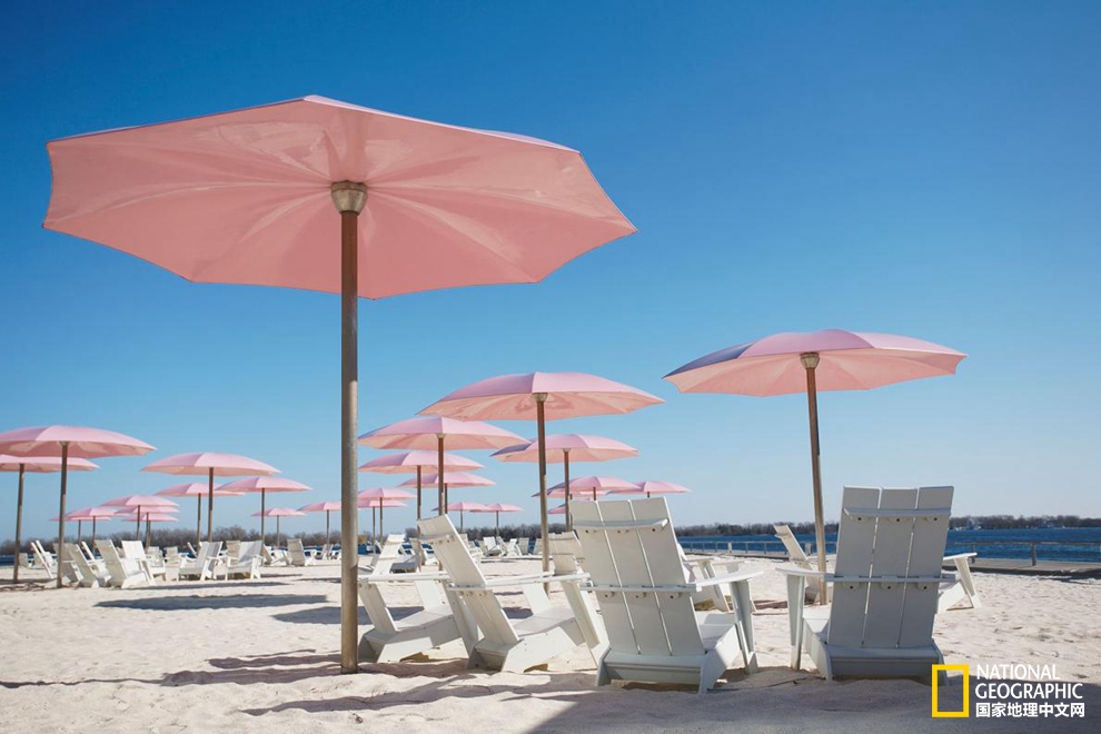 要说文化够多元，加拿大绝对算一个！