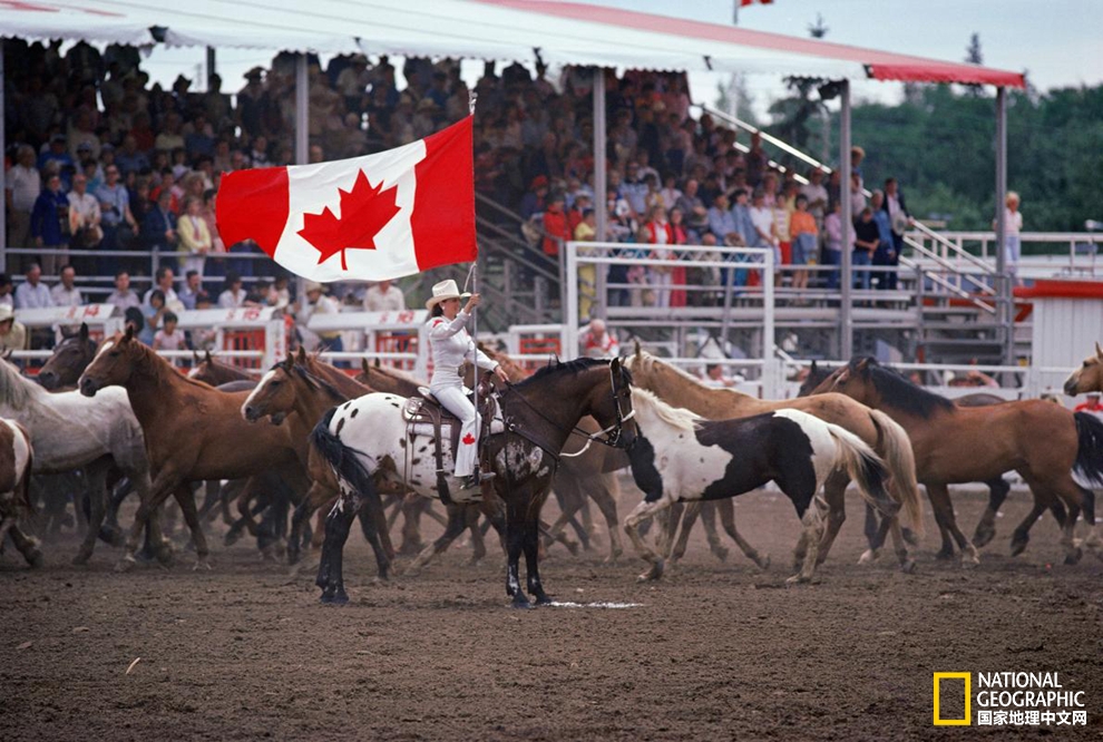 要说文化够多元，加拿大绝对算一个！