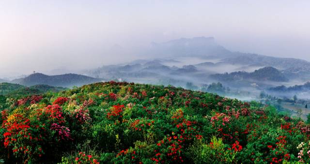 贵州出发云南自驾旅游攻略,自驾重庆到贵州旅游攻略
