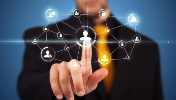 金板栗网,金栗子网络科技有限公司