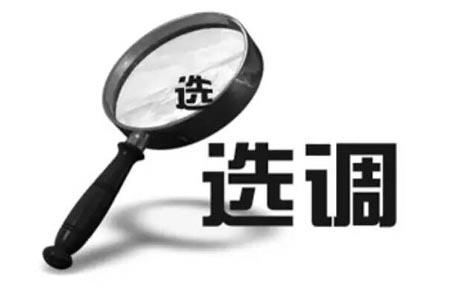 四川省公安厅面向基层遴选公务员,四川省公安厅选调公务员公告