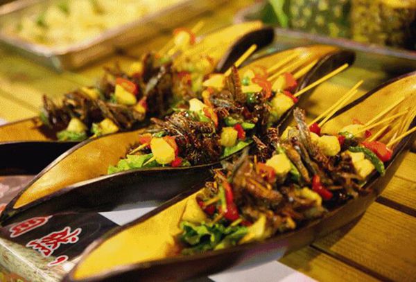 暑假最合适在哪里玩大理洱海,暑假去哪玩西双版纳