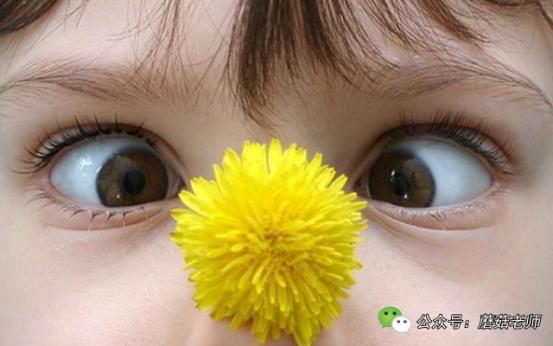 新生婴儿偶尔斗鸡眼正常吗,两个月大的婴儿为什么出现斗鸡眼