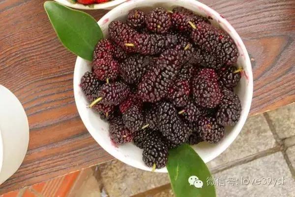 气血虚还容易上火吃什么食物调理,男人气血亏虚吃什么食物能够调理