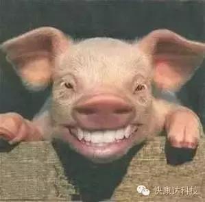 吃肉会增加糖尿病风险！所以吃什么肉最好？