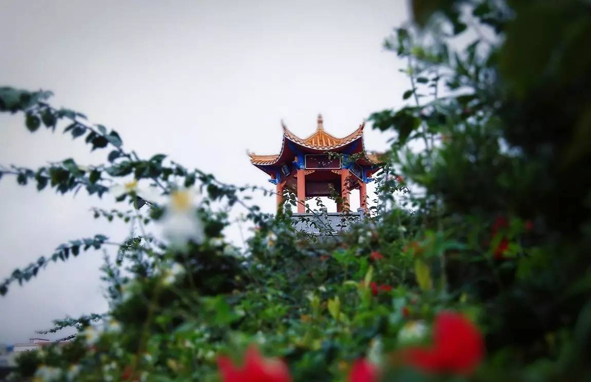 夏季旅游胜地珠三角,广东中山旅游攻略夏日