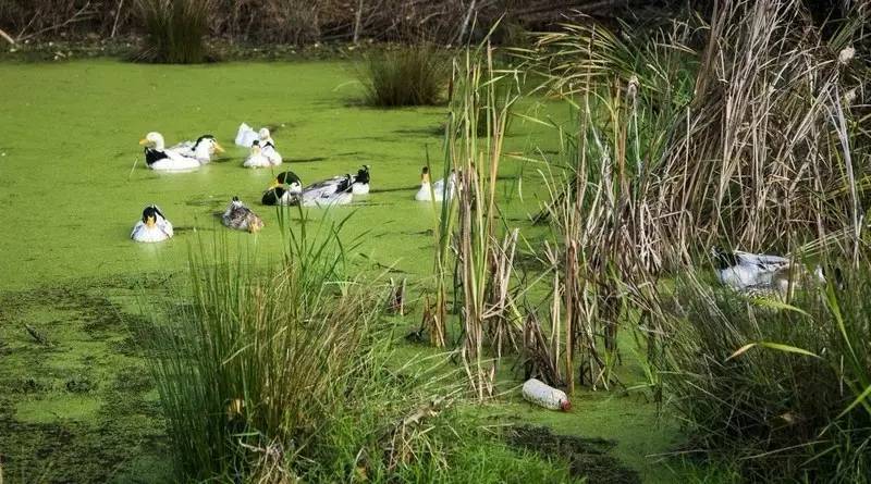 夏季旅游胜地珠三角,广东中山旅游攻略夏日
