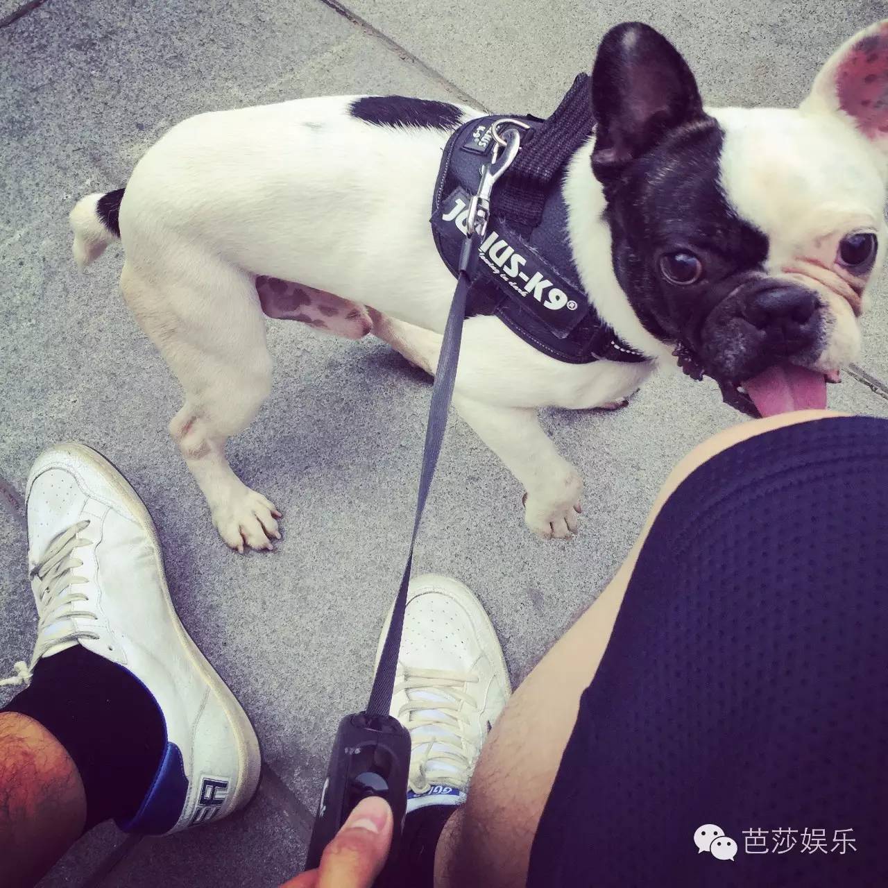 一周购物清单竖版,lv双肩包推荐小众高级感