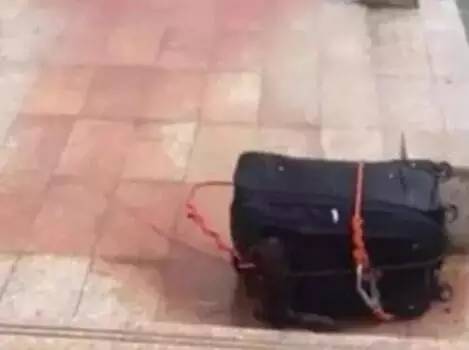 安徽今日早间新闻,今天安徽全部新闻报道