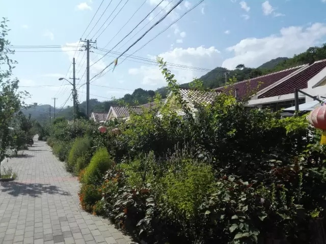 夏天天气这么热合适去哪儿玩,大暑去哪里玩比较凉快