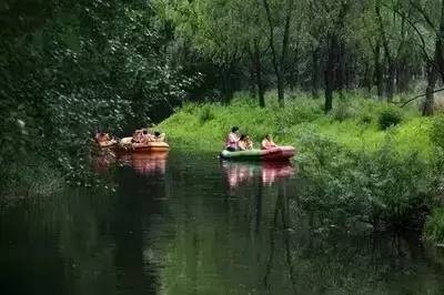 夏天天气这么热合适去哪儿玩,大暑去哪里玩比较凉快