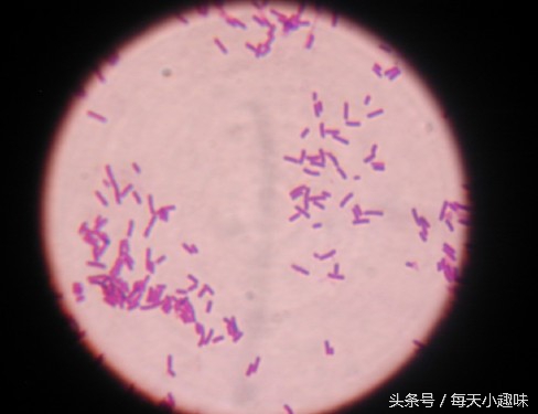 我待鼠标如初恋？怎能再让它充满细菌，轻松几步让鼠标不再肮脏