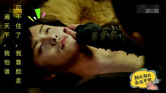 幻城到底讲的是什么,幻城讲的是什么故事