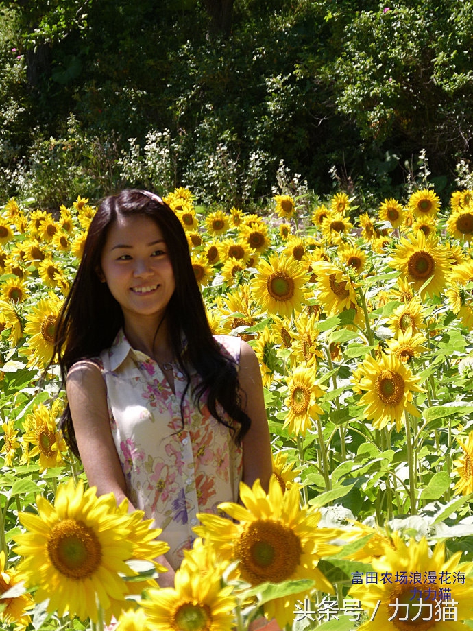日本北海道最美丽的景点,北海道暑假旅游攻略大全