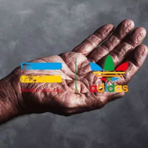 丸丸被妈妈忽悠现场,丸丸被妈妈忽悠