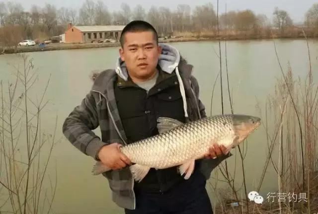 一入钓鱼深似海,一入黑坑