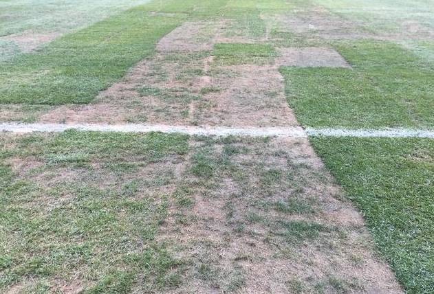 为了球员跑得欢，英国人已经和草坪死磕了80年