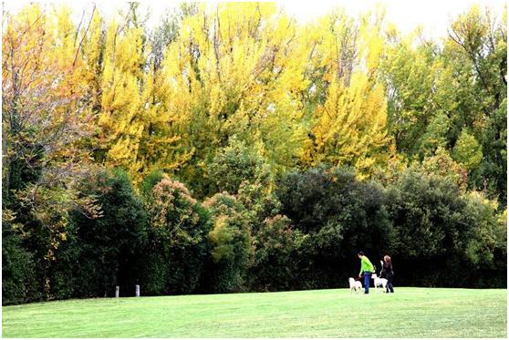 你在装修中须知道的38条装修常识,装修亲身体验