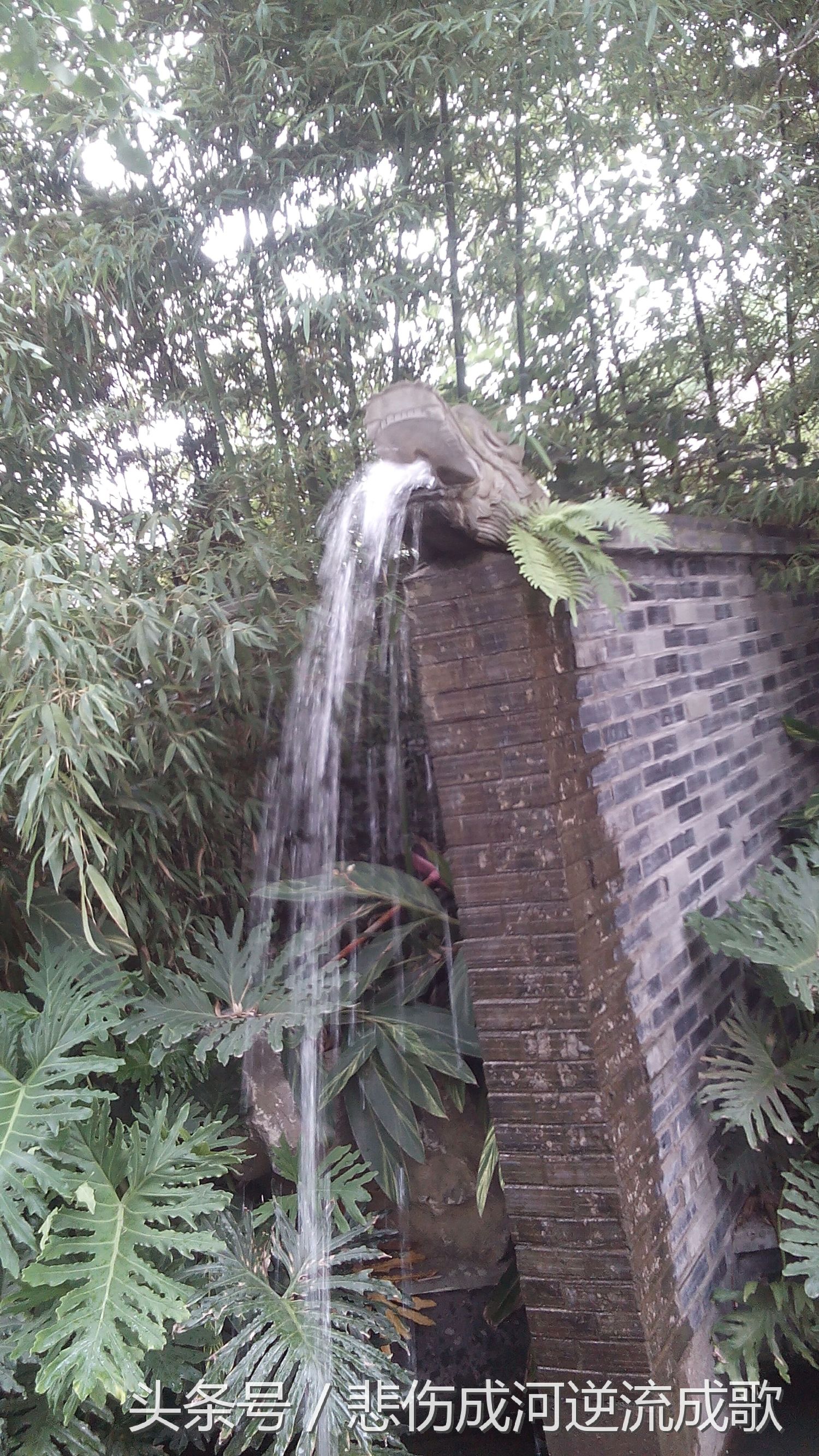 醉美水乡三道堰,水乡三道堰