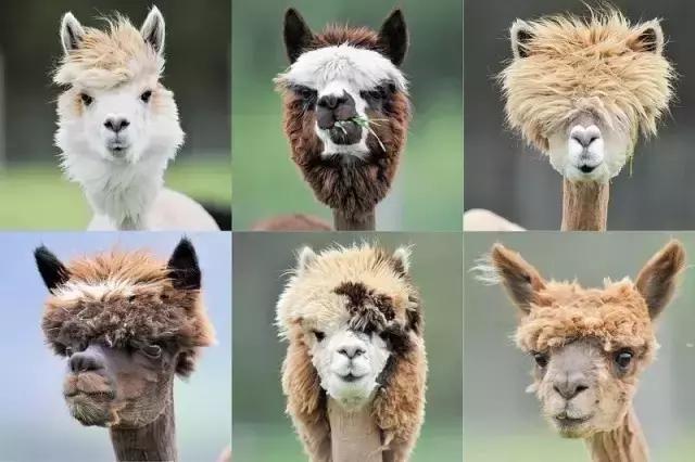 北上广一套房在美国能买到什么 (广州增城一套房子多少钱左右)